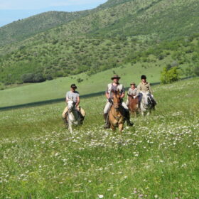 Caucasian Adventures horse back riding