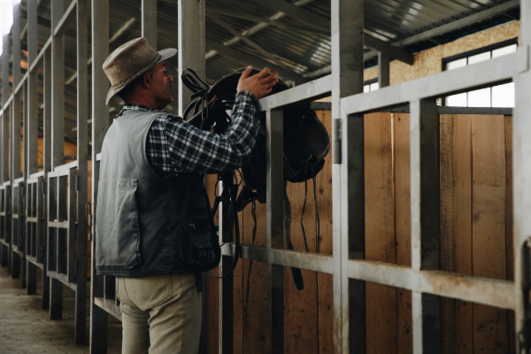 Stable at Asureti Riding Club in Georgia