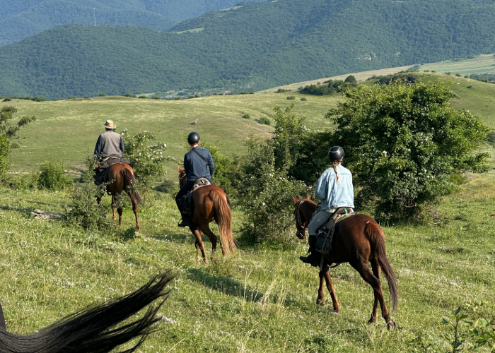 Stationary horseback riding vacations asureti riding club