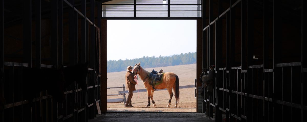 equestrian-center-asureti-georgia Horseback riding tour at Asureti Riding Club”